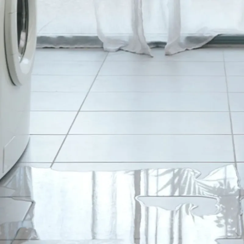 Appliance Leak Cleanup in Jamestown, CA