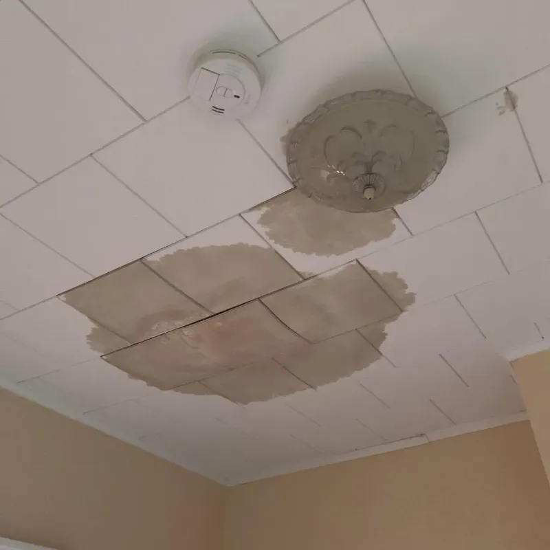 Ceiling Water Damage Repair in Jamestown, CA