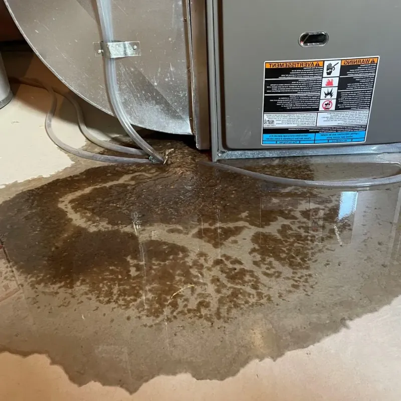 Pipe Burst and Leak Restoration in Jamestown, CA