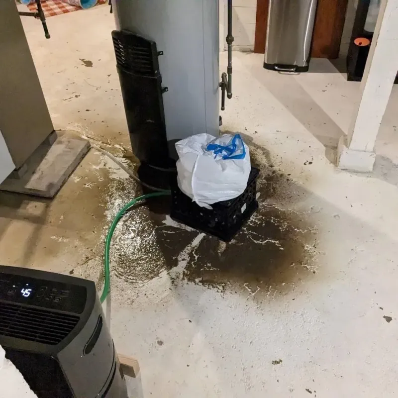 Sewage Backup Cleanup Service in Jamestown, CA